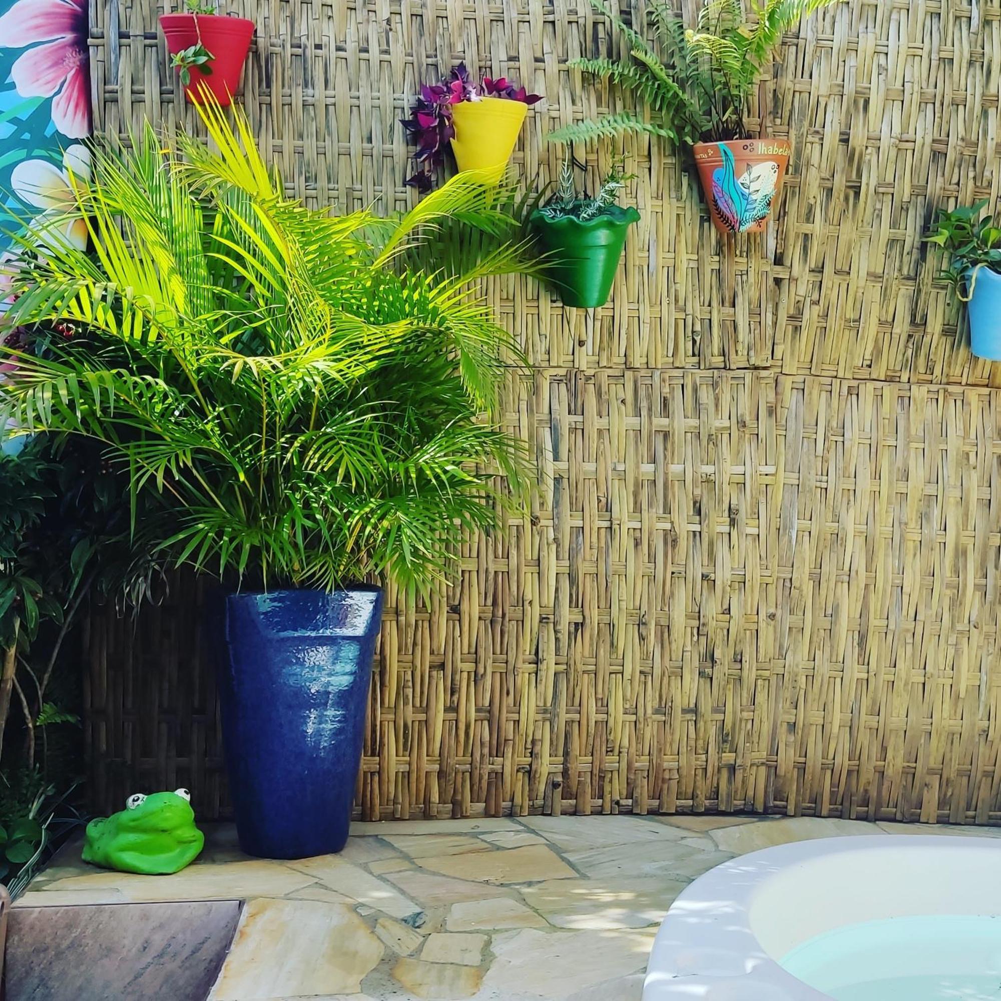 Recanto Toca das Plantas de Ilhabela II Exterior foto