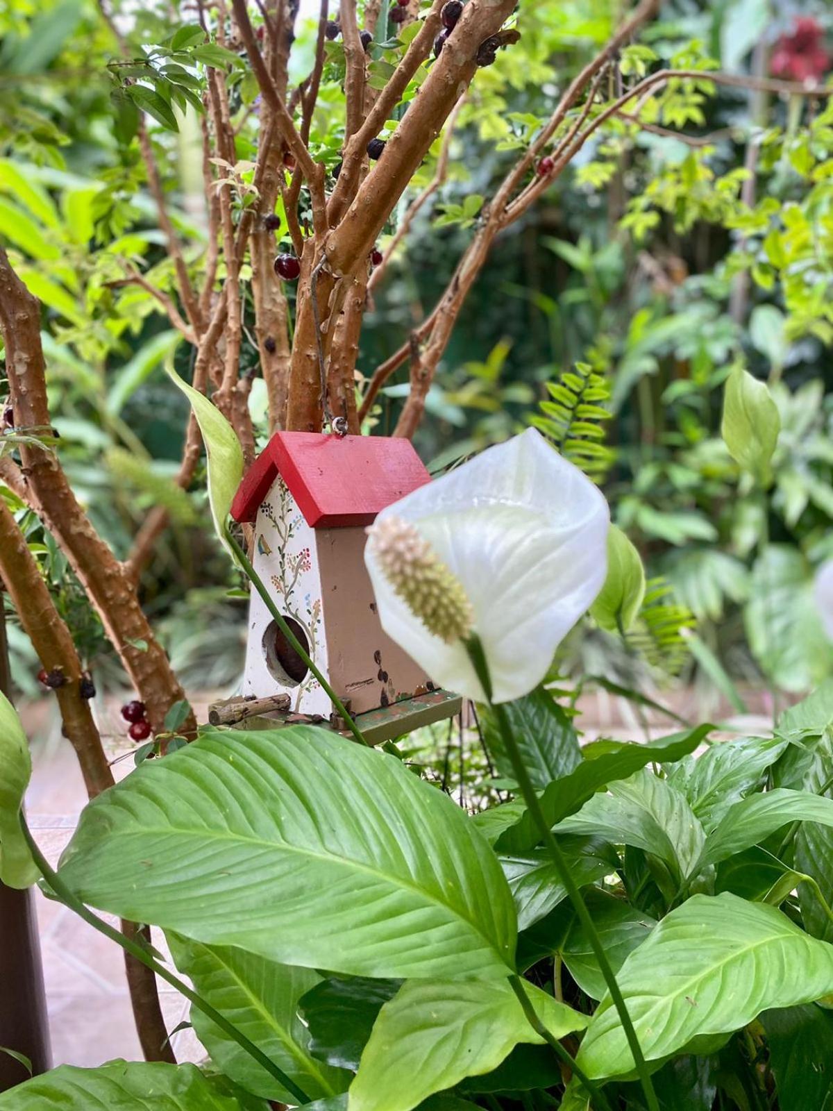 Recanto Toca das Plantas de Ilhabela II Quarto foto